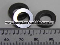 Silicon Carbide Seals