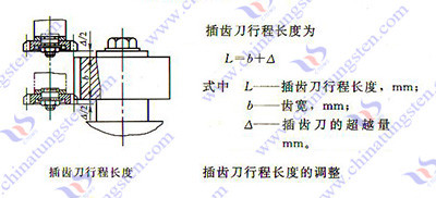 硬质合金插齿刀