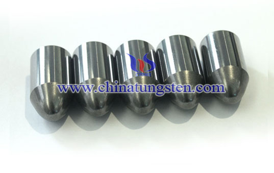 tungsten carbide parabolic button picture